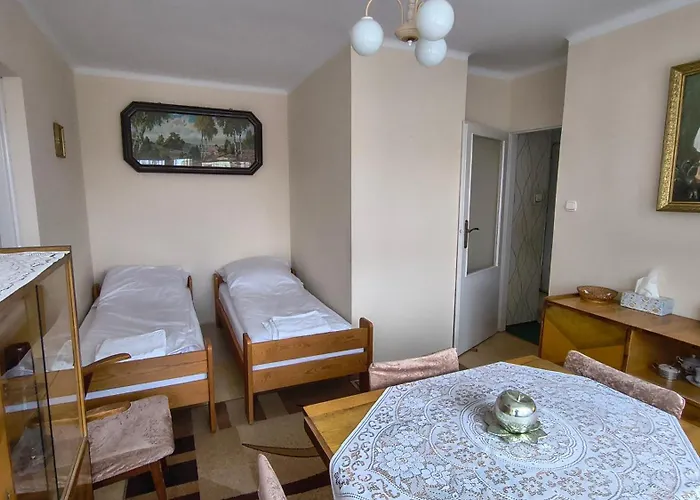 Small Vintage Place צ'סטוצ'ובה