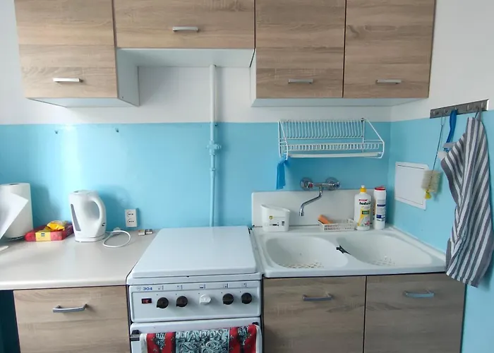 Small Vintage Place Daire Çestohova